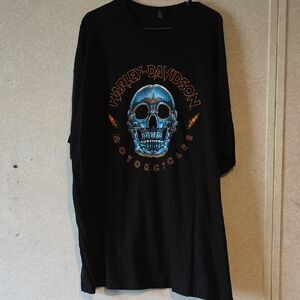 Harley-Davidson Black and Blue Skull Long Sleeve Tee